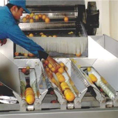 fruit processing equipment used.